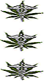 MMJ1-small.png