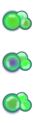 clo.png